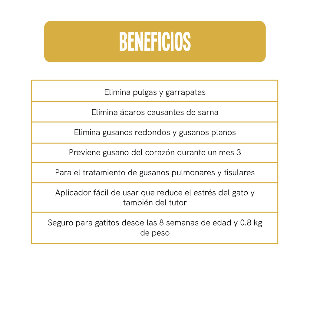 Fichas Tecnicas Productos-65.webp