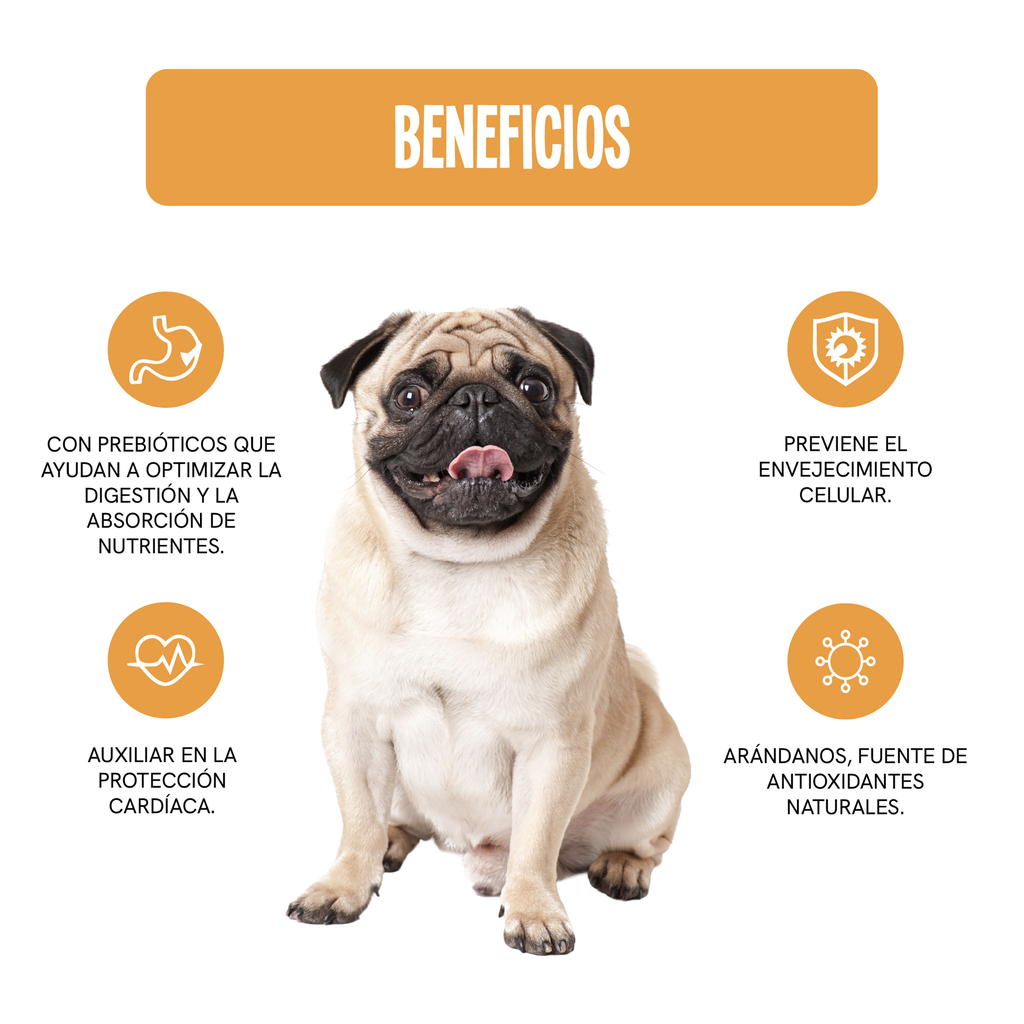 Fichas Tecnicas Productos-68.webp