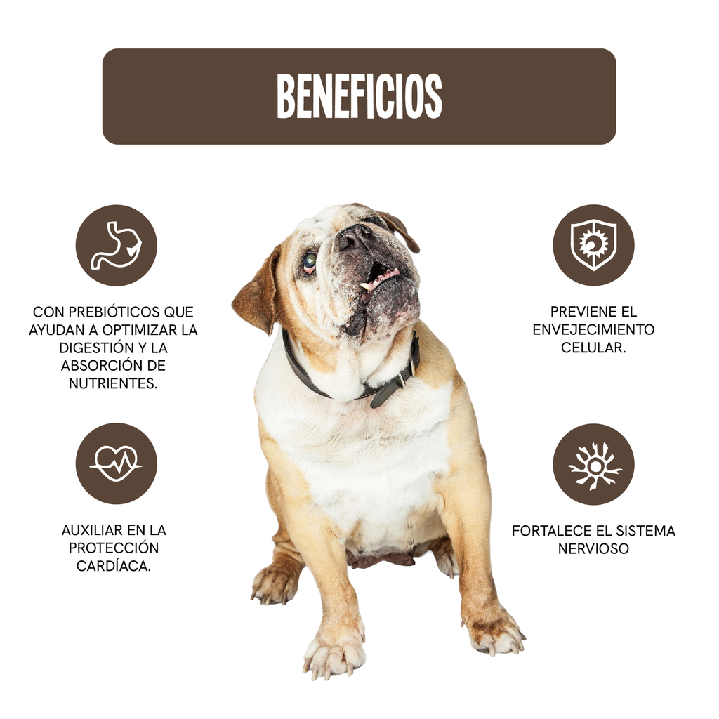 Fichas Tecnicas Productos-71.webp