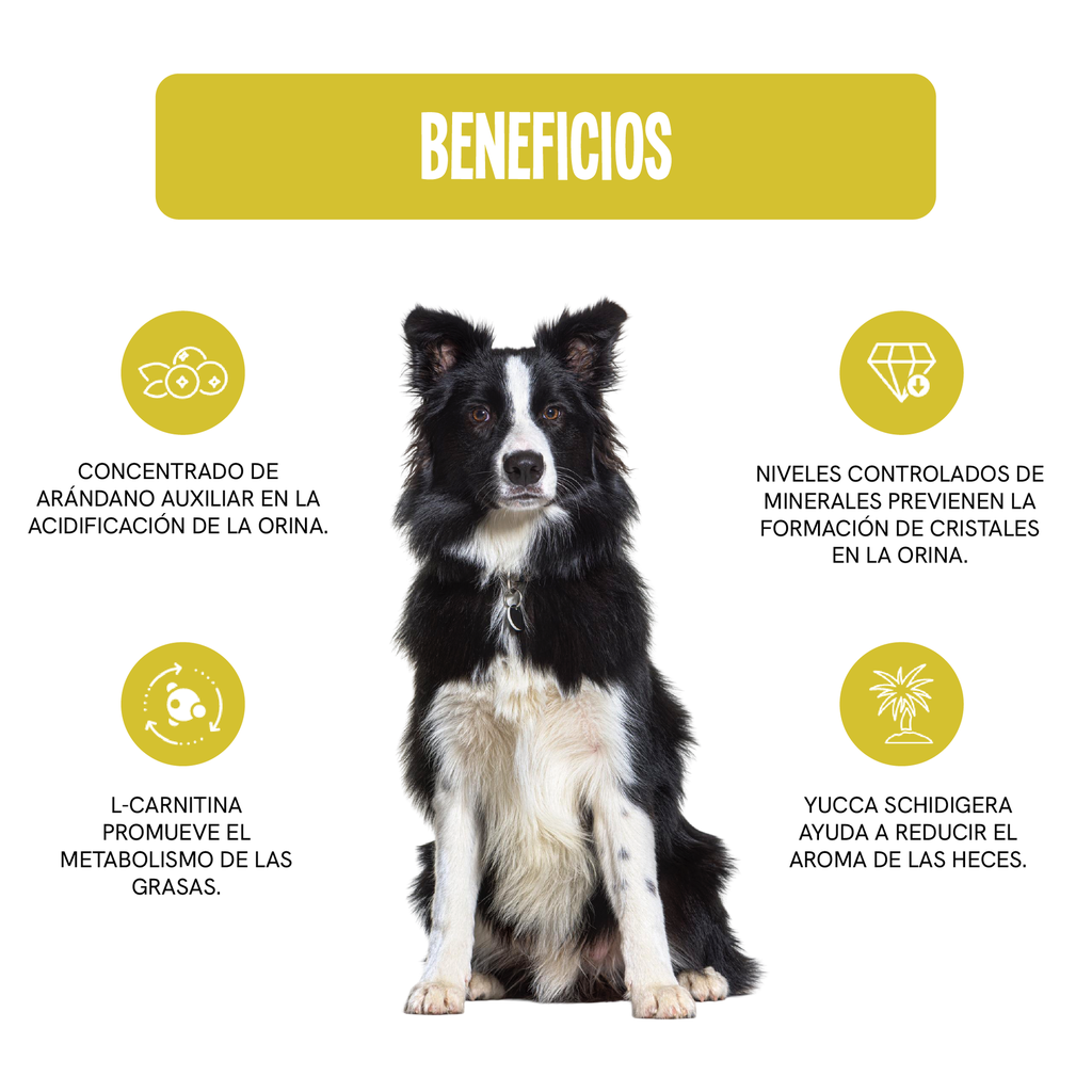 Fichas Tecnicas Productos-77.webp