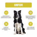 Fichas Tecnicas Productos-77.webp