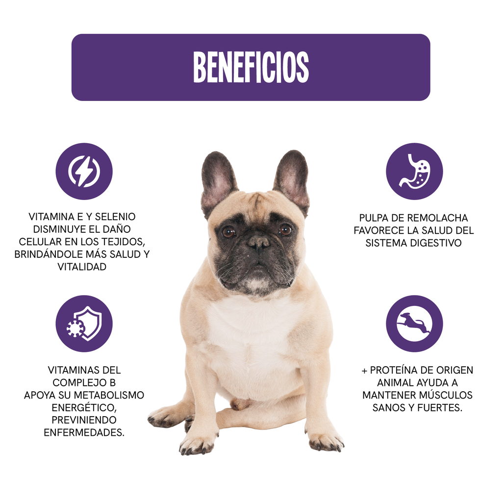 Fichas Tecnicas Productos-81.webp