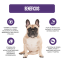 Fichas Tecnicas Productos-81.webp