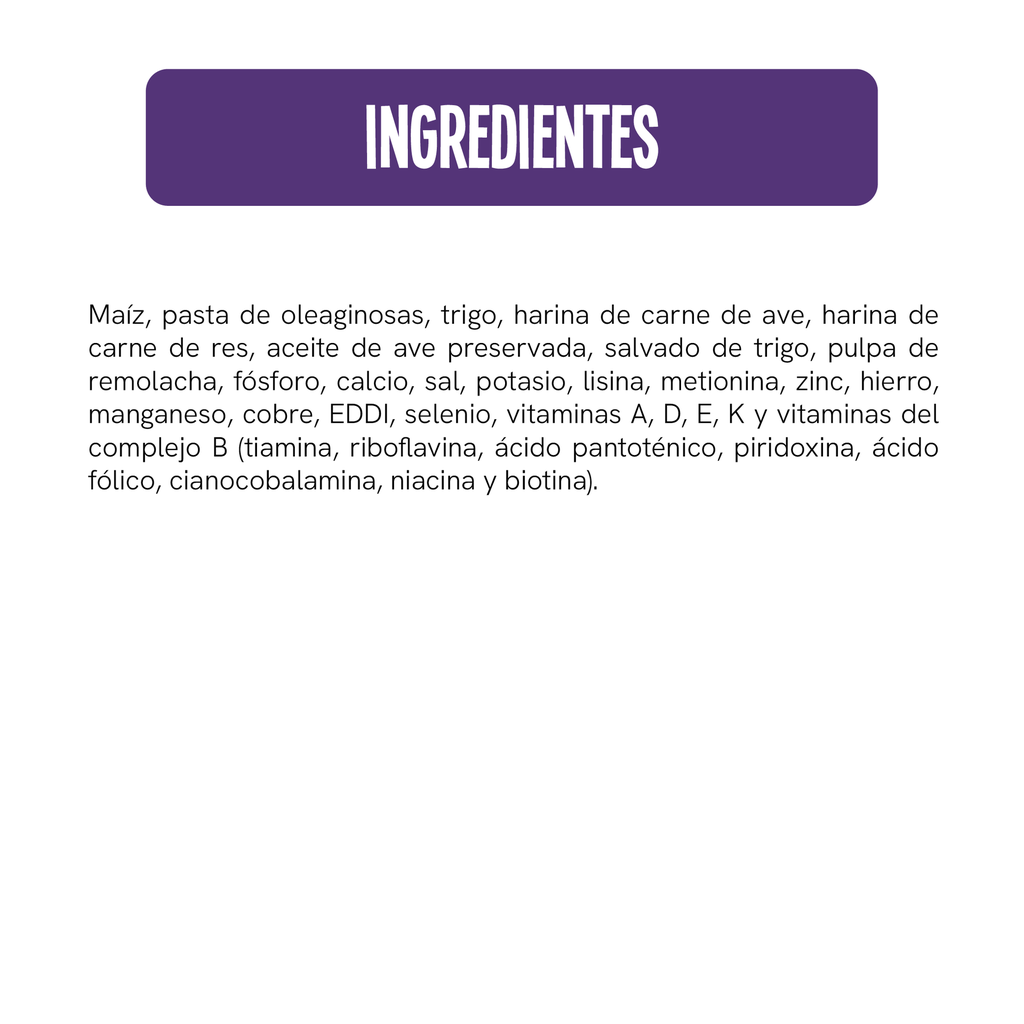 Fichas Tecnicas Productos-80.webp