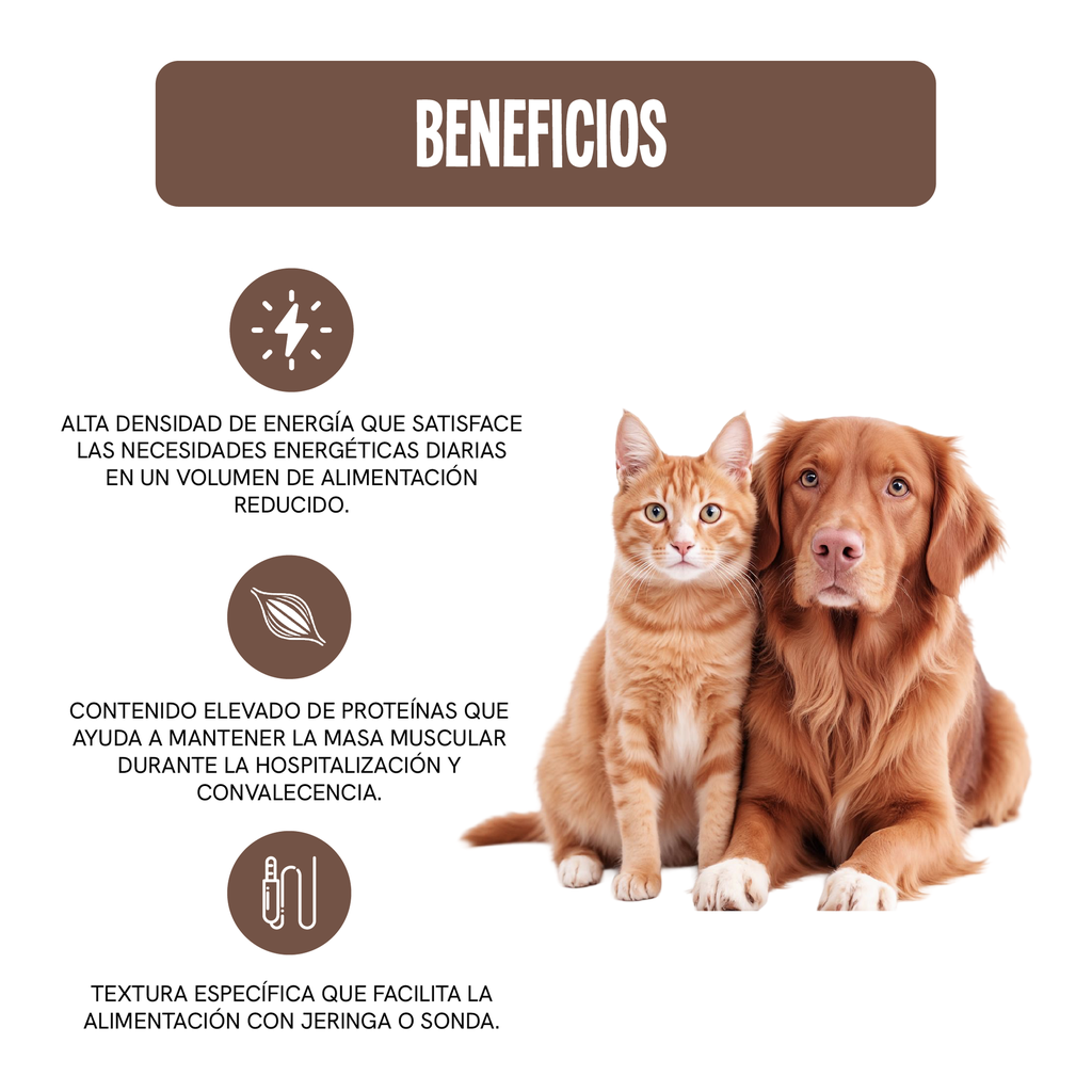 RCVET-HM-RVRY-145G_2.webp