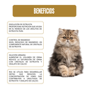 Fichas Técnicas Productos 50-100skus-89.webp