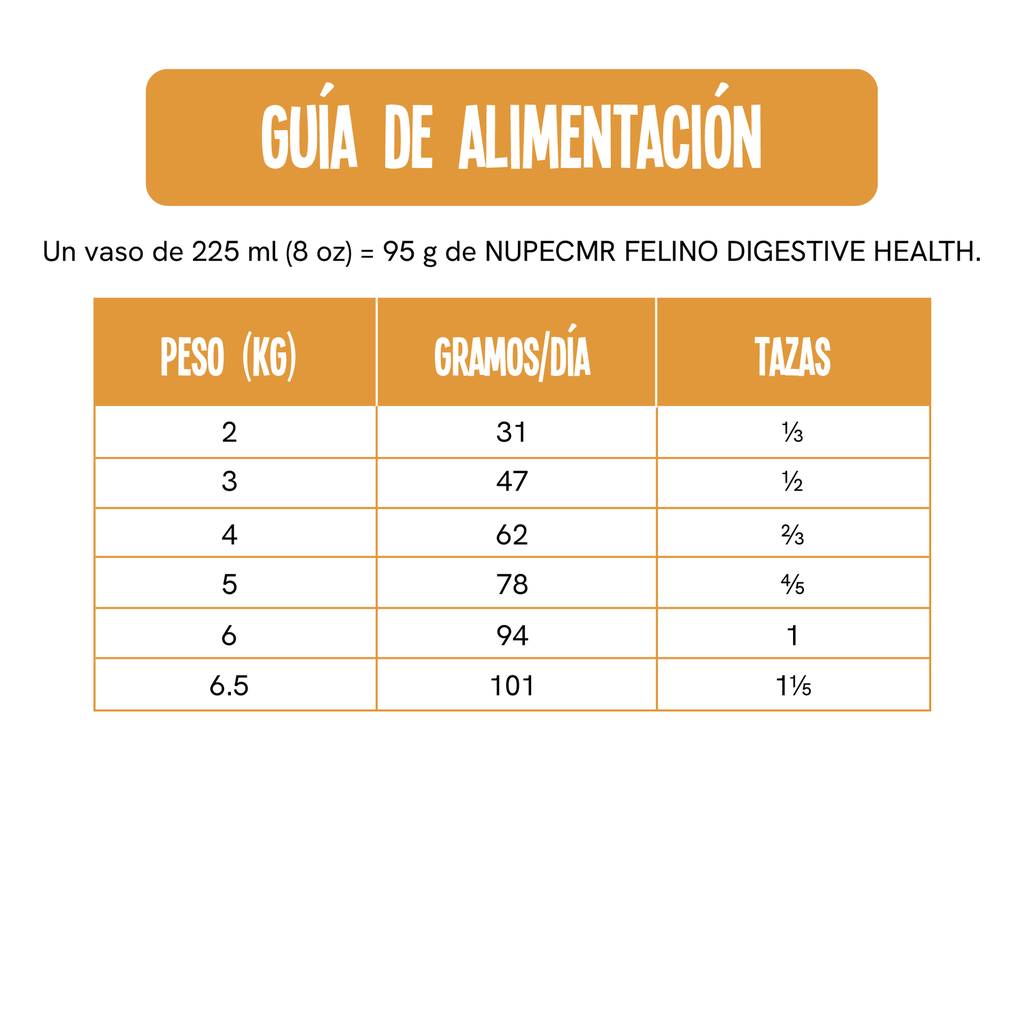 Fichas Técnicas Productos 50-100skus_Mesa de trabajo 2-95.webp
