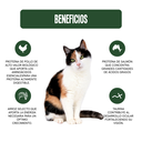 Fichas Tecnicas Productos-55.webp