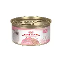 Royal Canin Alimento Humedo para Gatito 85 g