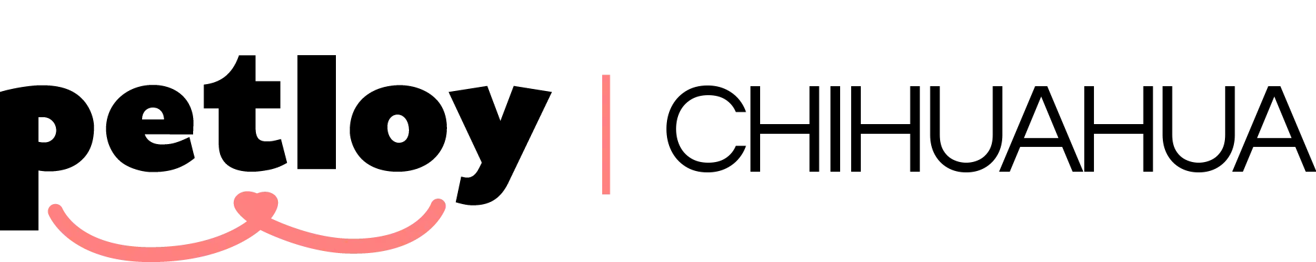 Petloy Chihuahua